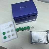 兔子组织因子(TF)ELISA试剂盒