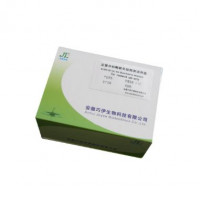 Rabbit  IL-6 ELISA KIT 兔白介素6