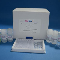 大鼠前列腺素F2α(PGF2α)ELISA检测试剂盒