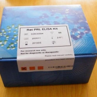 大鼠核呼吸因子1测定NRF1试剂盒厂家