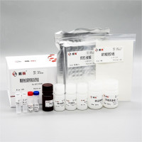HJ285 Rat IL-5 ELISA Kit