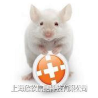 供应ANY-maze动物行为视频分析软件