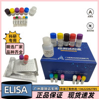 大鼠解整合素样金属蛋白酶9（ADAM9）ELISA检测试剂盒
