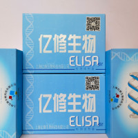 大鼠内皮素1(ET-1)ELISA试剂盒