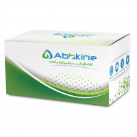EliKine™ 人T细胞免疫球蛋白域粘蛋白域蛋白-1 EL