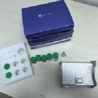 猪β干扰素(IFN-β/IFNB)ELISA试剂盒