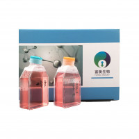 人乳酸脱氢酶同工酶(LDH)ELISA试剂盒