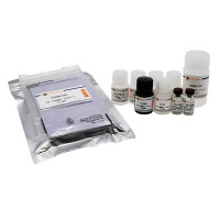 Porcine TNF-α ELISA Kit