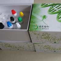 小鼠抗核抗体(ANA)Elisa试剂盒