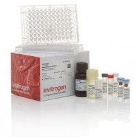 Invitrogen Human TNF alpha Unc