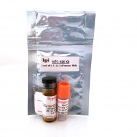 Hypoxyprobe Omni Kit缺氧探针试剂盒 HP