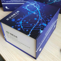 人成纤维细胞生长因子19(FGF19)ELISA试剂盒