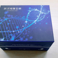 裸鼠抗内皮细胞抗体(AECA)ELISA试剂盒