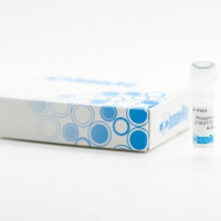 ImmunoWay Annexin V-APC 细胞凋亡检测