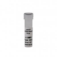 LANCE Eu-W1024 Anti-6His Antib