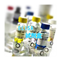 人麻疹病毒IgM(MV IgM)ELISA试剂盒
