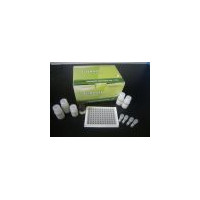 兔8-异构前列腺素(8-epi-PGF2α)ELISA试剂盒