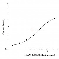 大鼠细胞间粘附分子1(ICAM-1/CD54)ELISA试剂