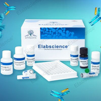 Elabsciecne伊莱瑞特 国产ELISA试剂盒_厂家现