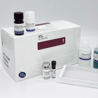 小鼠 胱抑素C ELISA 试剂盒-Mouse Cystat