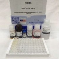 Pig IgA ELISA Kit (swine/porci