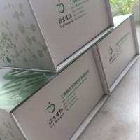 大鼠2,5 寡腺苷酸合成酶（2,5-OAS）酶联免疫分析试剂