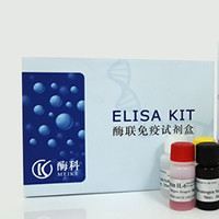 大鼠心肌肌浆网钙泵(Serca)ELISA试剂盒