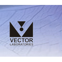 vectorlabs特约代理
