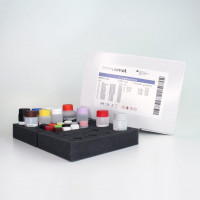 组胺ELISA试剂盒-任何食品或饮料样品Histamine