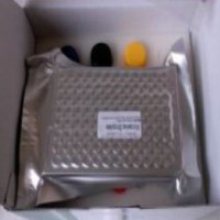 山羊肿瘤坏死因子α(TNF-α) ELISA KIT