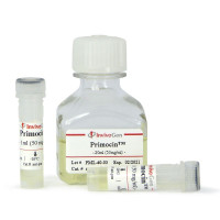 pUNO1-mNECTIN2beta