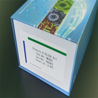 Protein A 残留检测试剂盒