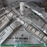 B型流感病毒酶联免疫法ELISA检测试纸