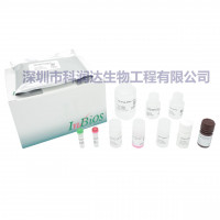 登革热IgG检测ELISA试剂盒（美国Inbios）