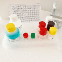 牛副结核分枝杆菌病抗体(M.pt Ab)酶联免疫(Elisa