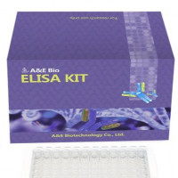 人血管内皮细胞生长因子(VEGF)ELISA Kit