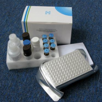 人热休克蛋白27（HSP-27）ELISA 试剂盒