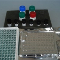 大鼠白介素13(IL-13)ELISA试剂盒