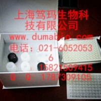猪免疫球蛋白G(IgG) ELISA 试剂盒说明书