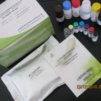 Rat IL-10 ELISA Kit
