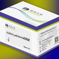 F2-RNA pulldown试剂盒适用广泛-高效-节约成本