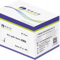 DNA pull down试剂盒 强亲和力/操作简便/周期短
