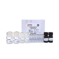 TrypLE重组胰蛋白酶定量检测试剂盒ELISA