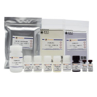 Rat TIMP-1 ELISA Kit