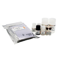 Porcine IL-10 ELISA Kit
