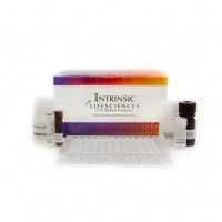 大鼠铁调素（Hepcidin）ELISA检测试剂盒