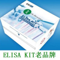 鸡性别决定区Y框蛋白9(SOX9)ELISA试剂盒