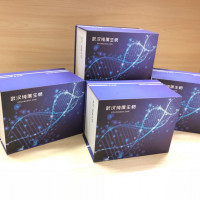 鸡早老素1(PS1)酶联免疫试剂盒