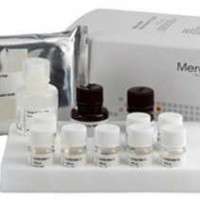 Mercodia Iso-Insulin（同工胰岛素检测试剂