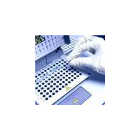 猪皮质醇(Cortisol)ELISA Kit